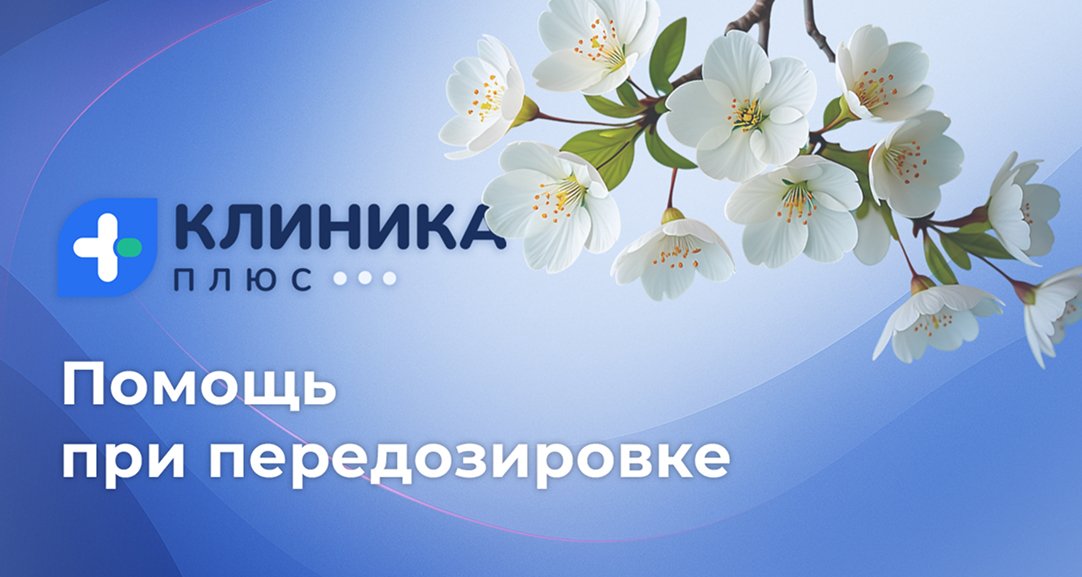 Обложка видео «»